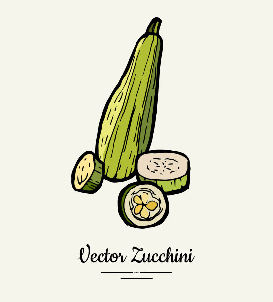 西葫芦手绘插图集。时髦的南瓜插图。孤立的绿色西葫芦素海报图片下载