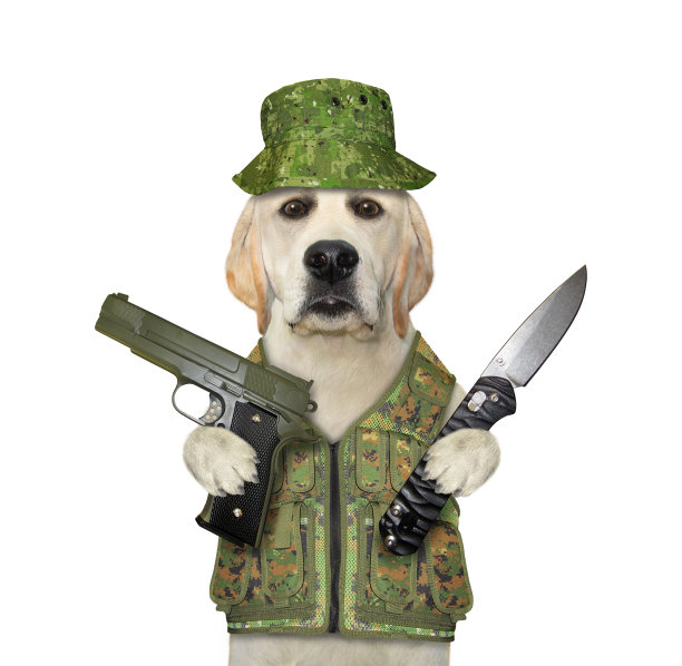 狗拿着小折刀和枪图片下载