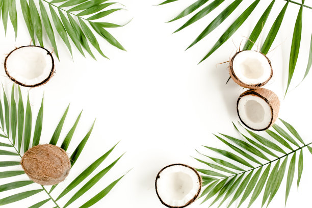白色背景上的热带绿色棕榈叶和裂开的椰子。自然的概念。平躺，俯视图图片下载