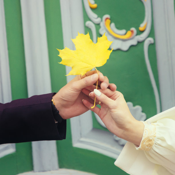 男女手握一片枫叶在绿色门的背景上。秋天的心情。健美的照片图片下载