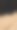 阳光下的狗图片下载