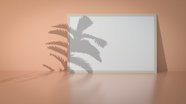矩形框架背景在靠近墙壁的桌子上，棕榈叶的阴影用于展示您的项目。空白的展览。图片下载