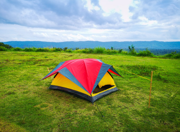 帐篷在大自然中森林的草坪上搭起的帐篷图片下载