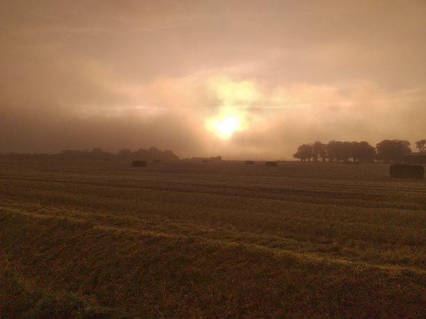 日出雾图片下载