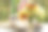 乡村有趣的猫户外特写照片放松与绿色花园的花拼接枕头图片下载