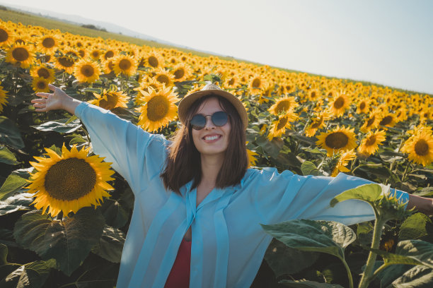 问候的向日葵图片下载