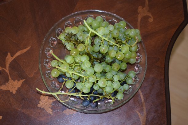 一盘葡萄图片下载