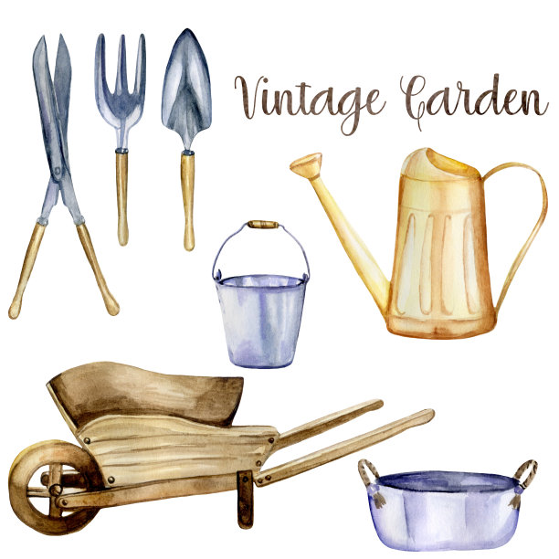 水彩插图园艺工具:喷壶，手推车，铲子，耙子，金属桶，盆和剪刀。图片下载