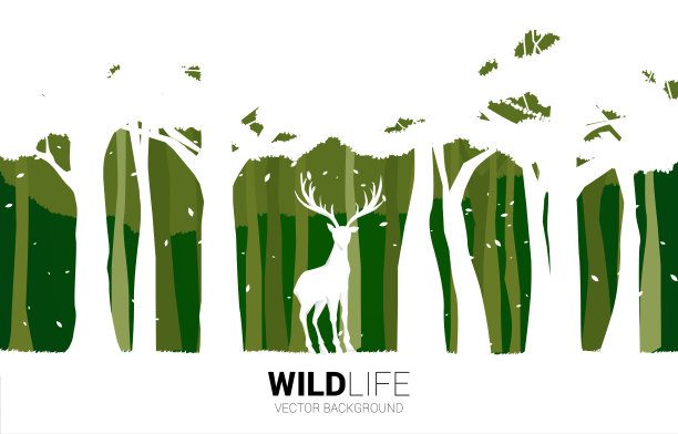 森林里大鹿的剪影。图片下载