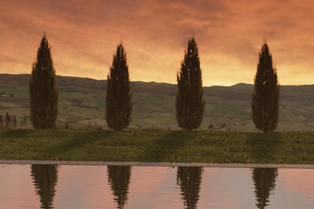 现代游泳池的三维渲染树和托斯卡纳景观前图片下载