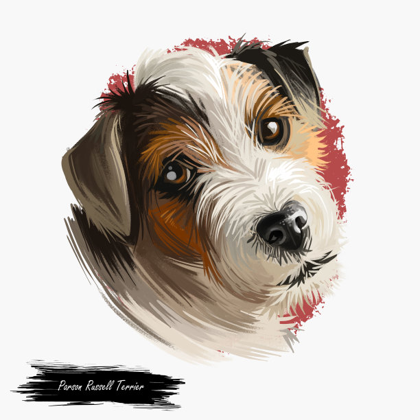 牧师罗素狗狗肖像孤立在白色。数码艺术插图的手绘狗为网页，t恤印花和小狗的食物封面设计。牧师杰克罗素梗，原来的狐狸梗。图片下载