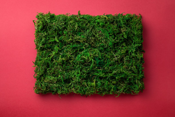 矩形的绿苔图片下载