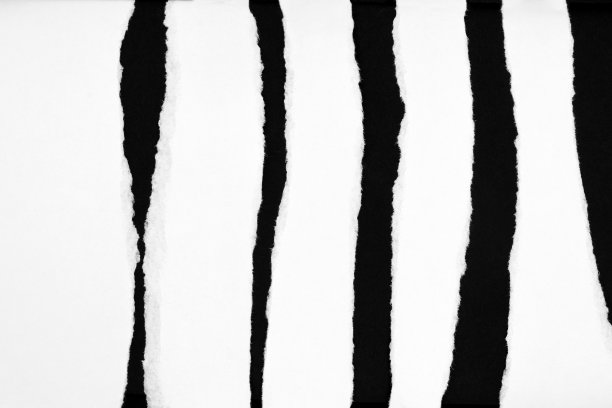 白色撕裂纸孤立在黑色背景图片下载