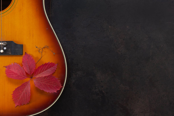 原声吉他和深棕色的红色秋叶背景图片下载