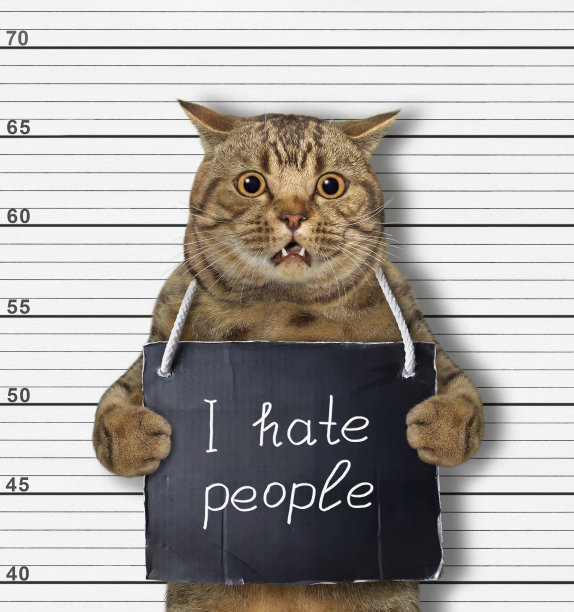 凯特因憎恨他人而被捕图片下载