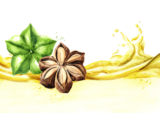 沙夏Inchi油波。水彩手绘插图，孤立的白色背景图片下载