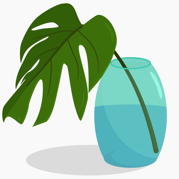 把植物叶子放在花瓶里浇水图片下载