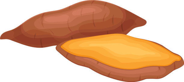 橙色的巴塔蔬菜孤立在白色图片下载