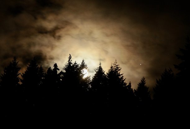 月亮从雾中升起图片下载