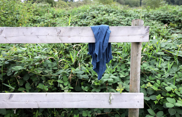 栅栏上的一件被遗忘的蓝衬衫图片下载