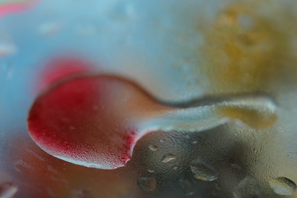 阳光下的瞬间图片下载