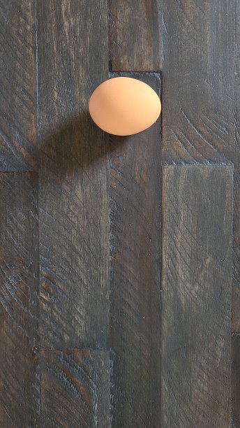 棕色的鸡蛋图片下载