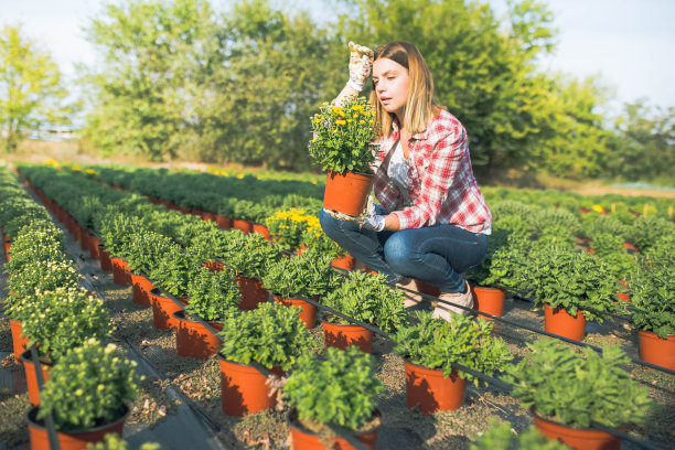 在花卉种植园辛勤工作图片下载