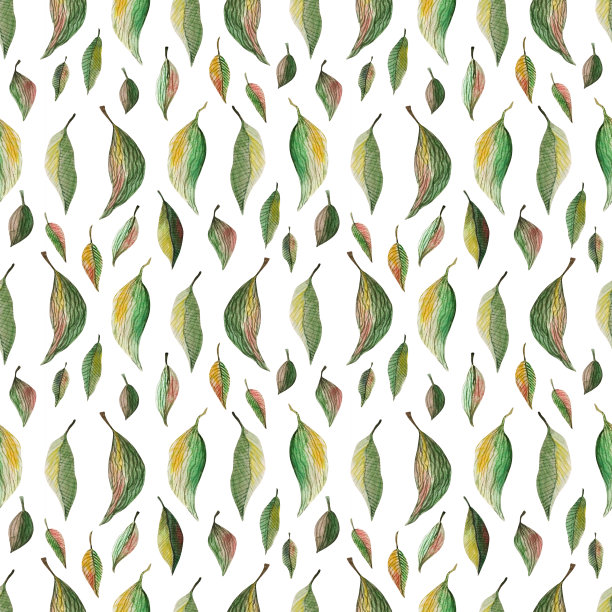 绿叶水彩无缝图案。植物绘画插图孤立在白色的背景。夏季手绘插画。化妆品、包装、纺织品、卡片、装饰用草药图片下载