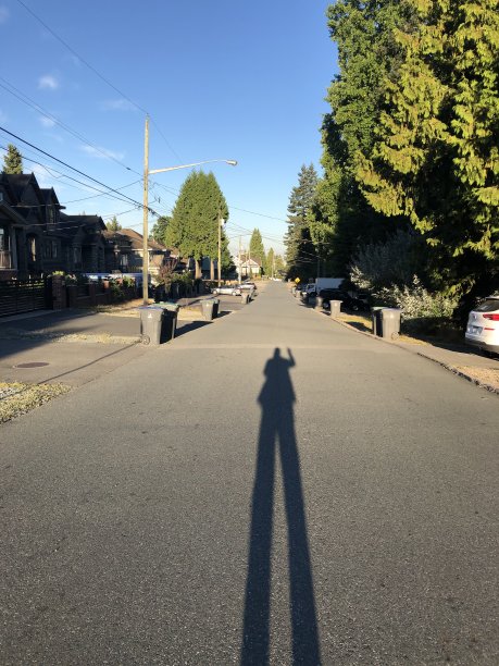 早上长长的阴影图片下载