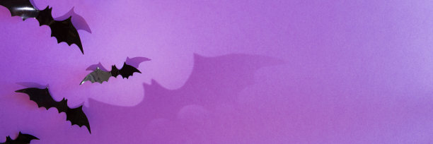 万圣节的紫色背景有蝙蝠的影子。俯视图，拷贝空间，长横幅图片下载