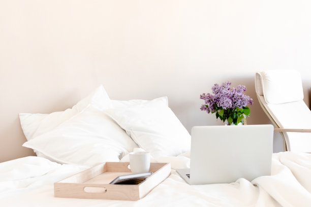 抱枕照片素材ID：382508424