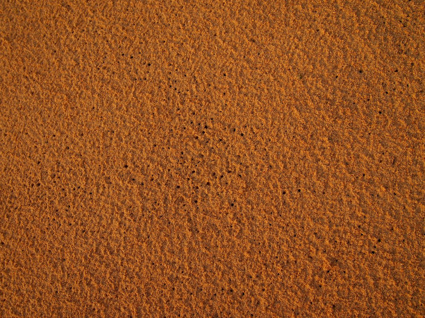 细粒橙色沙滩沙滩的沙子在黎明图片下载