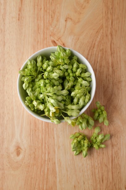 九轮草是一种白杨树的花图片下载