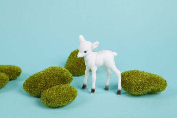 最小的白色小鹿和苔藓图片下载