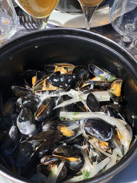 诺曼贻贝图片下载