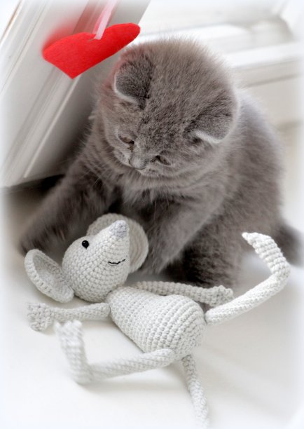 可爱的家猫躺在窗户上和一只织好的老鼠玩耍。图片下载