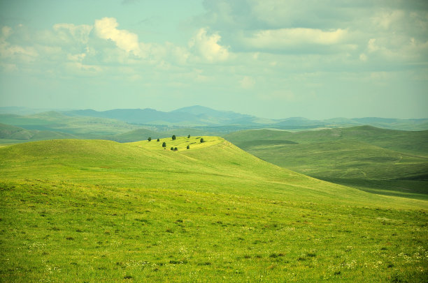 在一个风景如画的山谷里，一群小树矗立在一座高山的山顶和山坡上。图片下载