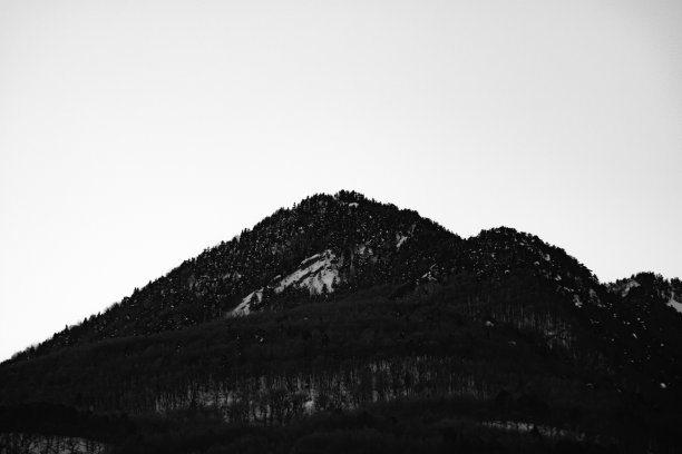 冬天森林覆盖着小山图片下载