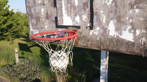 旧的篮筐和球。图片下载