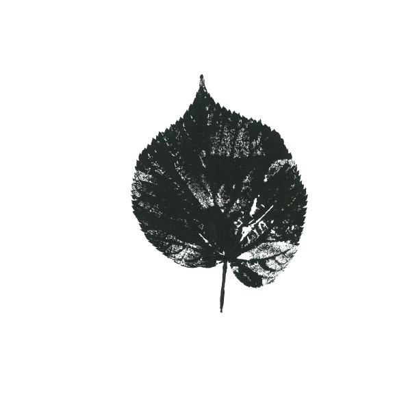 叶墨邮票。黑色孤立在白色背景上。图片下载