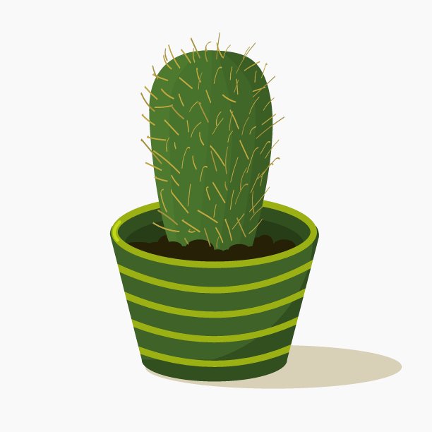 仙人掌——室内和办公室盆栽植物图片下载