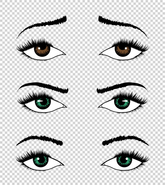 向量眼的集合。手画女性奢侈的眼睛与完美的形状的眉毛和充分的睫毛。完美的外观上透明的背景。健康魅力设计图片下载