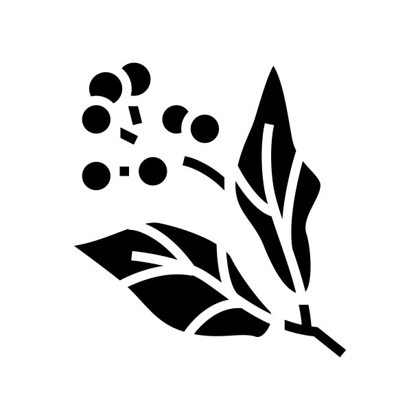 樟脑香薰象形图矢量孤立插图图片下载