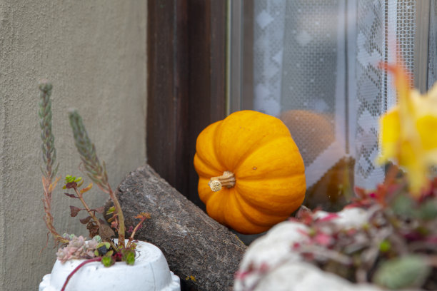 德国，罗滕堡，门口，窗台，万圣节，装饰图片下载