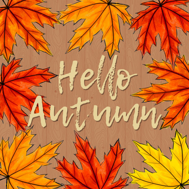 淡淡的书法题词“你好秋天”，四周是黄色、橙色和红色的枫叶。秋叶中间的手写字体。布朗木制背景。广场的社交网络图片下载