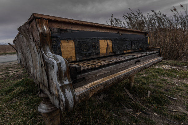 大自然中被遗弃的钢琴图片下载