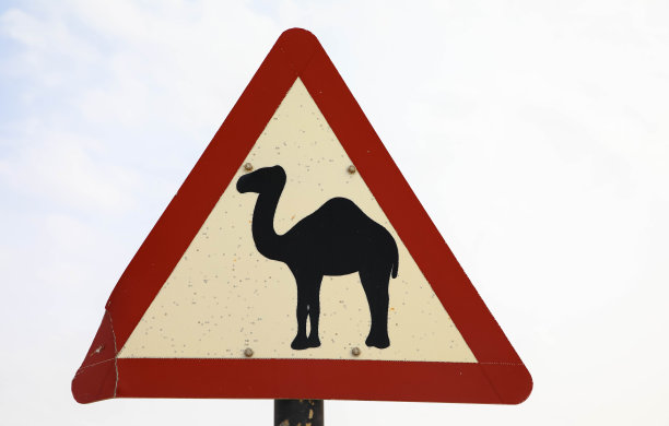 小心骆驼警告标志图片下载