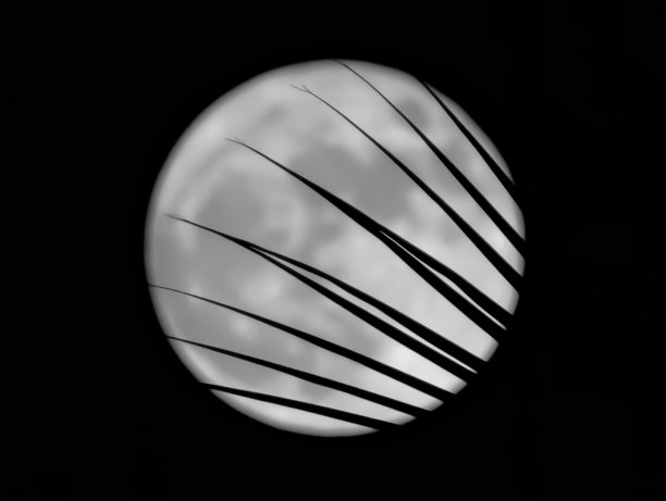 午夜的月亮图片下载