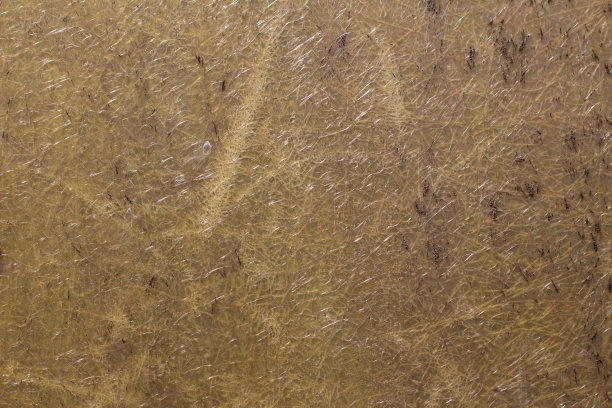 玻璃纤维墙面纹理为背景，玻璃纤维增强塑料图片下载