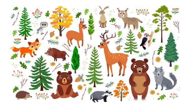 林地森林动物设置孤立的白色图片下载